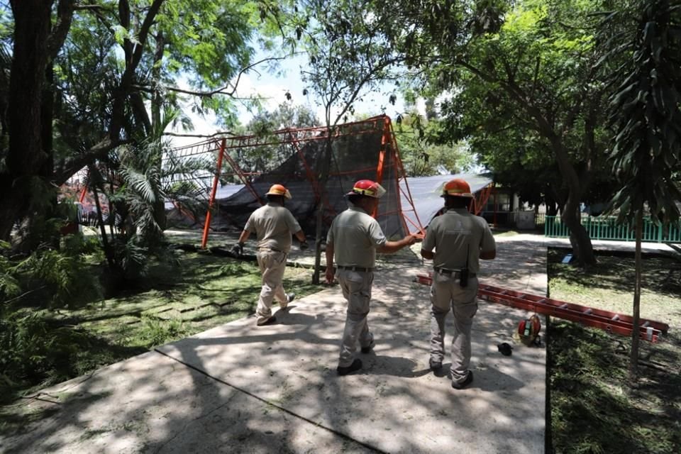 El domo de la Secundaria 58 ubicada en la Colonia Toluquilla en Tlaquepaque, colapsó a causa del granizo que cayó la noche del domingo, informaron autoridades.