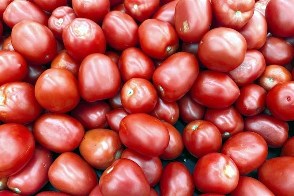 El Presidente Trump impuso un arancel del 17% a las importaciones de tomate mexicano, para salvar a los agricultores de Florida.