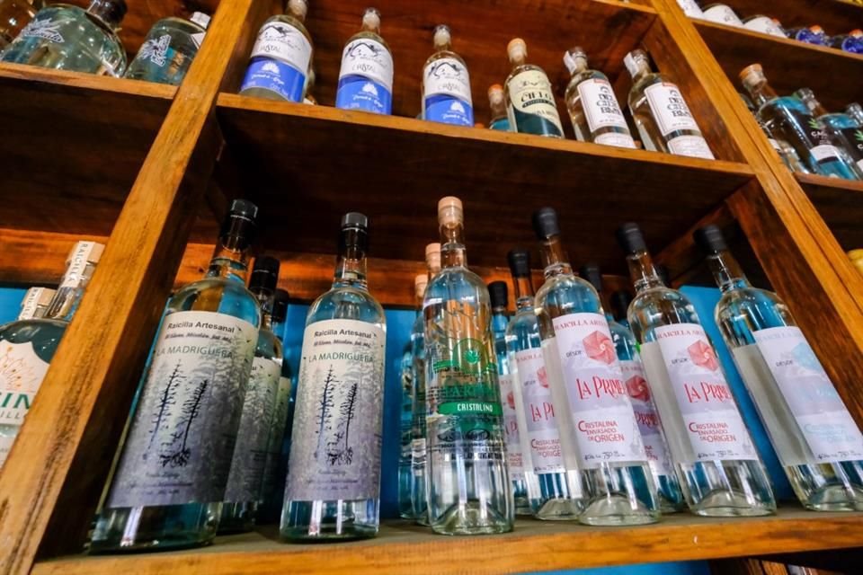 Si la tendencia actual se mantiene, la raicilla podría convertirse en un nuevo jugador en la industria global de bebidas de agave.