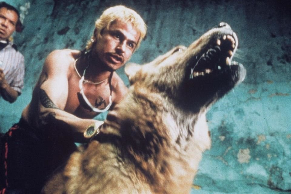 De la película de Alejandro G. Iñárritu, el presidente de la Academia destacó que fue emblemática para la historia contemporánea de la cinematografía del País.