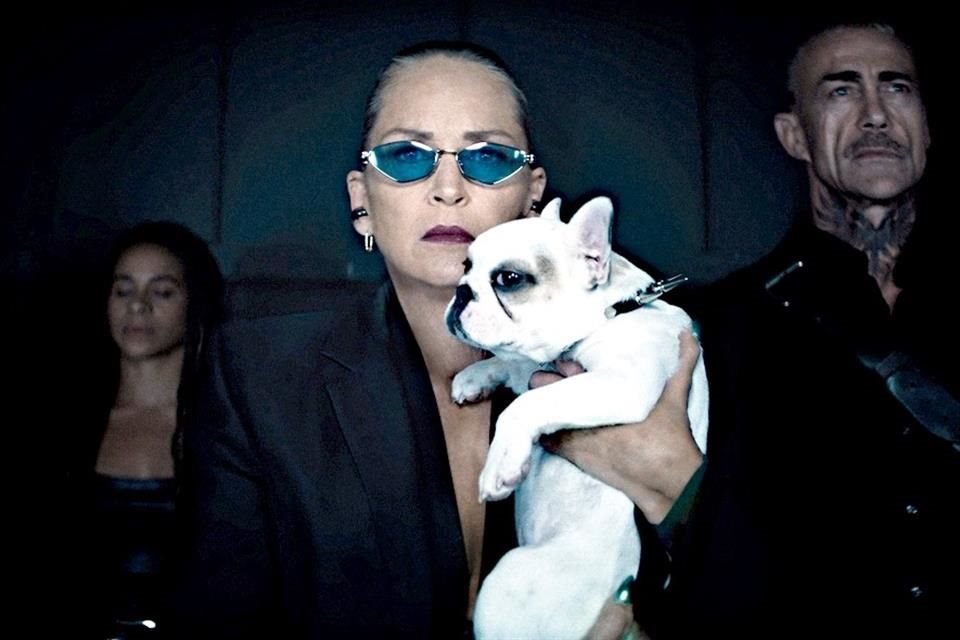 Tal como sucedió en el primer filme, una situación se sale de control y eso desencadena batallas campales contra la jefa de la mafia local, Lendina (Sharon Stone).