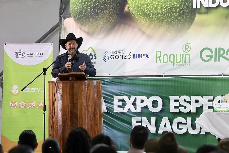 Ciudad Guzmán recibe la novena edición del Congreso del Aguacate, que reúne a productores, exportadores y especialistas de más de seis países.
