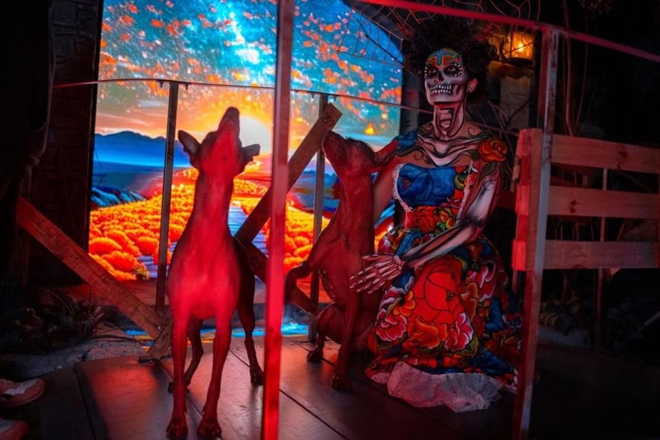 Con inspiración en el Códice Vaticano, este evento transporta a los visitantes a un viaje a los pasajes ancestrales que van describiendo el recorrido de las almas al inframundo de la mitología mexica.