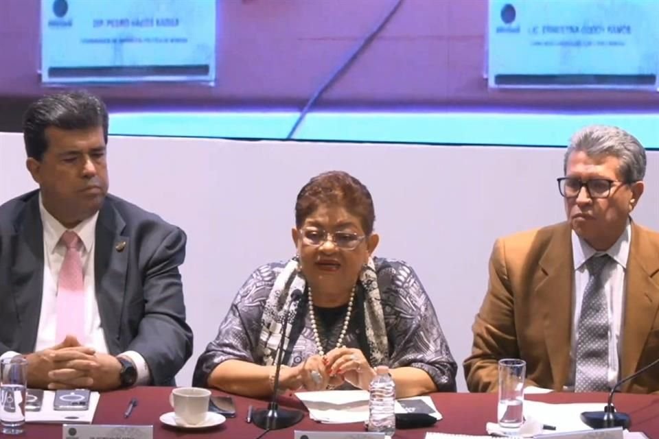 Ernestina Godoy, Consejera Jurídica de la Presidencia, en la reunión plenaria de los diputados de Morena.