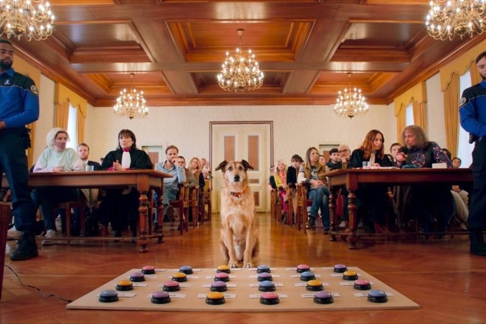 Si te gusta el humor burdo y francés (y los lomitos), debes ver 'El Juicio de un Perro'. Pero antes, lee la crítica de Pepe Ruiloba.