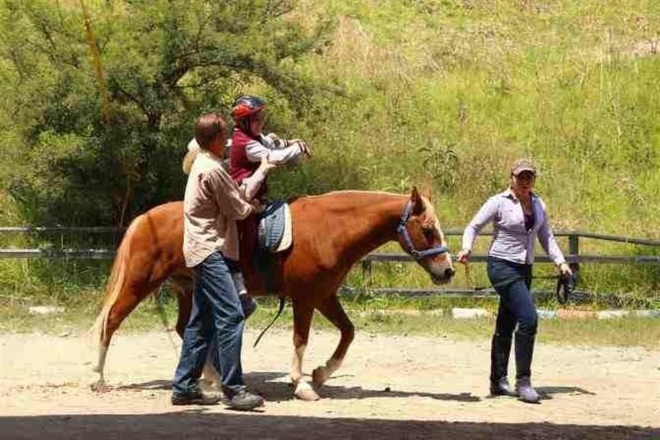 Señalan omisión legal que no permite hacer diferenciación entre traslados pecuarios de aquellos de animales de uso deportivo, cultural, recreativo o terapéutico.
