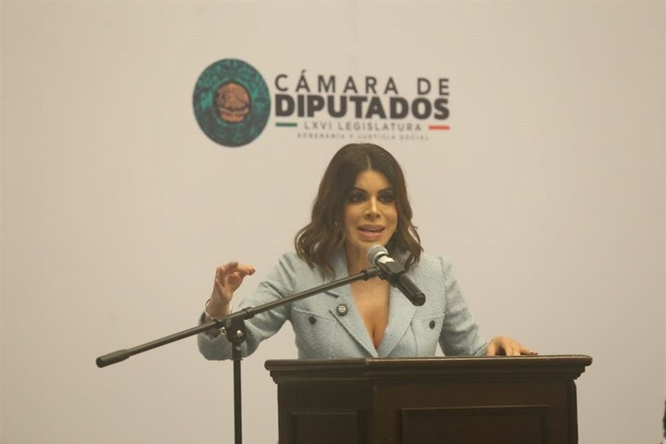 En su primer informe de actividades, la legisladora emecista Claudia Salas destacó las iniciativas para atender la desaparición de personas.