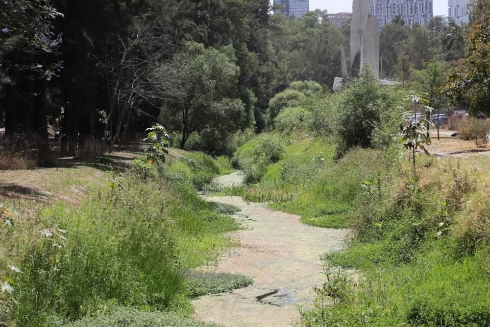 Factores como viviendas abandonadas, vegetación sin control y espacios públicos deteriorados están siendo analizados como elementos que facilitan la desaparición de personas en Jalisco.