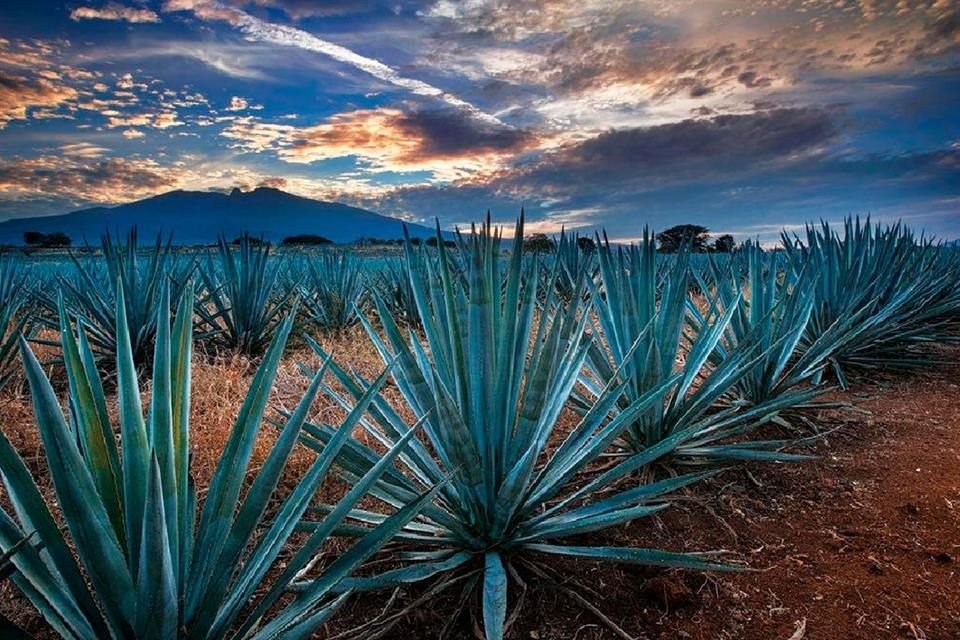 El ITESO impulsa el diplomado 'Estudios Culturales: Ciudad y Región', que se enfoca en el patrimonio cultural de Jalisco.