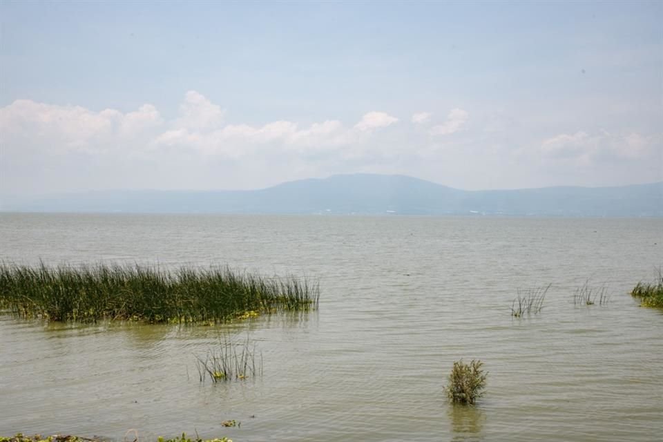 El PRI Jalisco anunció que emprenderá una campaña de defensa del Lago de Chapala ante el Acueducto Solís-León.