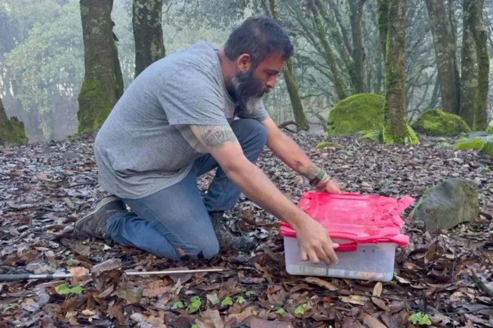 La dependencia exhortó a la ciudadanía a reportar la presencia de ejemplares de este tipo en zonas habitacionales.