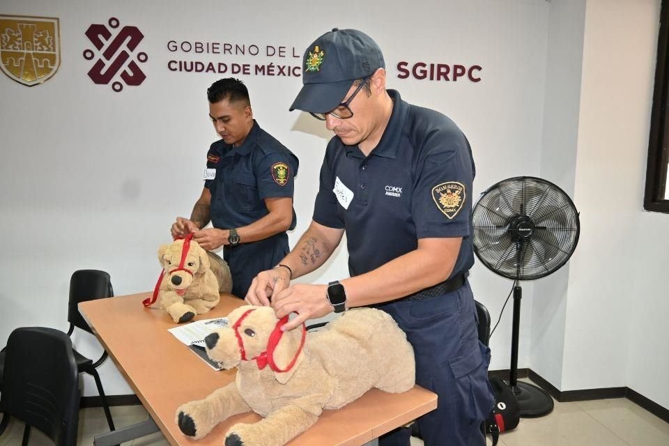 El taller público masivo de primeros auxilios para animales en desastres se llevará a cabo el 18 de septiembre en el Monumento a la Revolución.