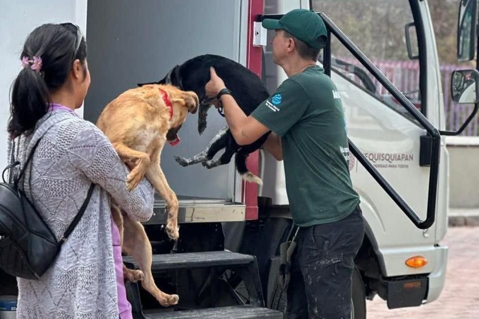 Los animales deben ser considerados en planes de preparación ante emergencias, de acuerdo con Felipe Márquez Muñoz.