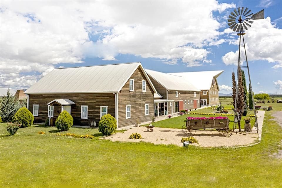 Learn about Mennonite culture in Chihuahua, a community that preserves traditions and contributes agricultural and cultural wealth to the 