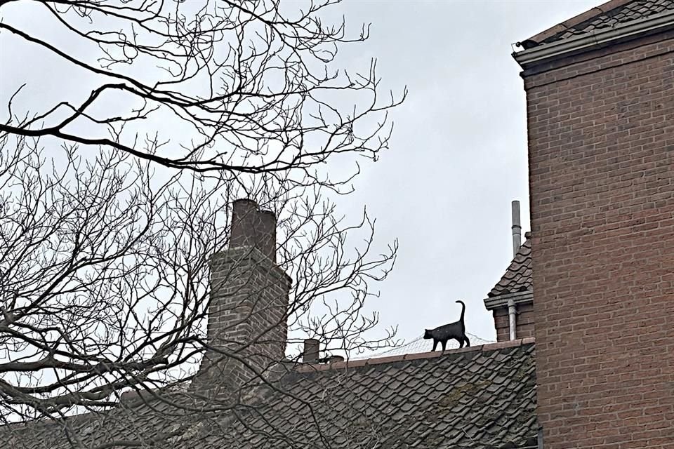 Famoso por ser, históricamente, el aliado de brujas, el gato negro es también protagonista de esta ciudad.