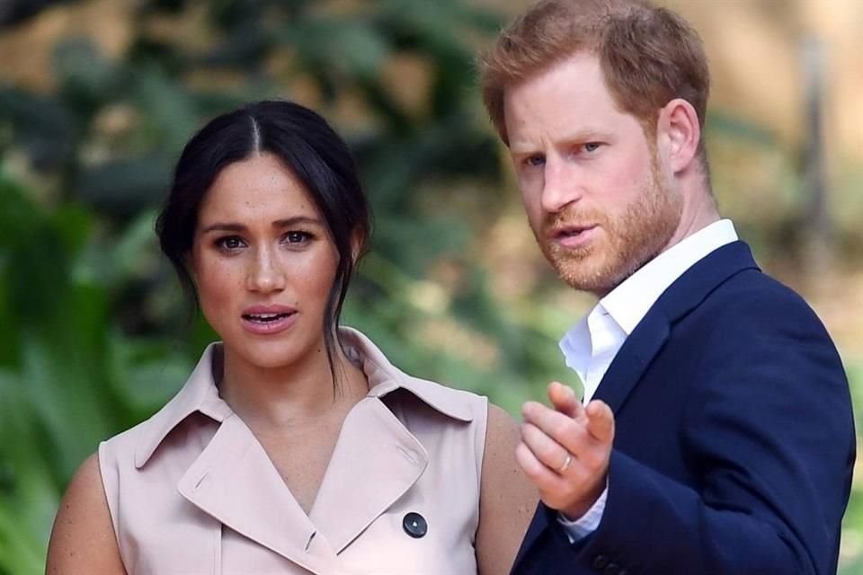 En el escenario, Harry compartió un momento con un perrito, además de mandar un mensaje para exhortar a la gente a que donaran a la causa.