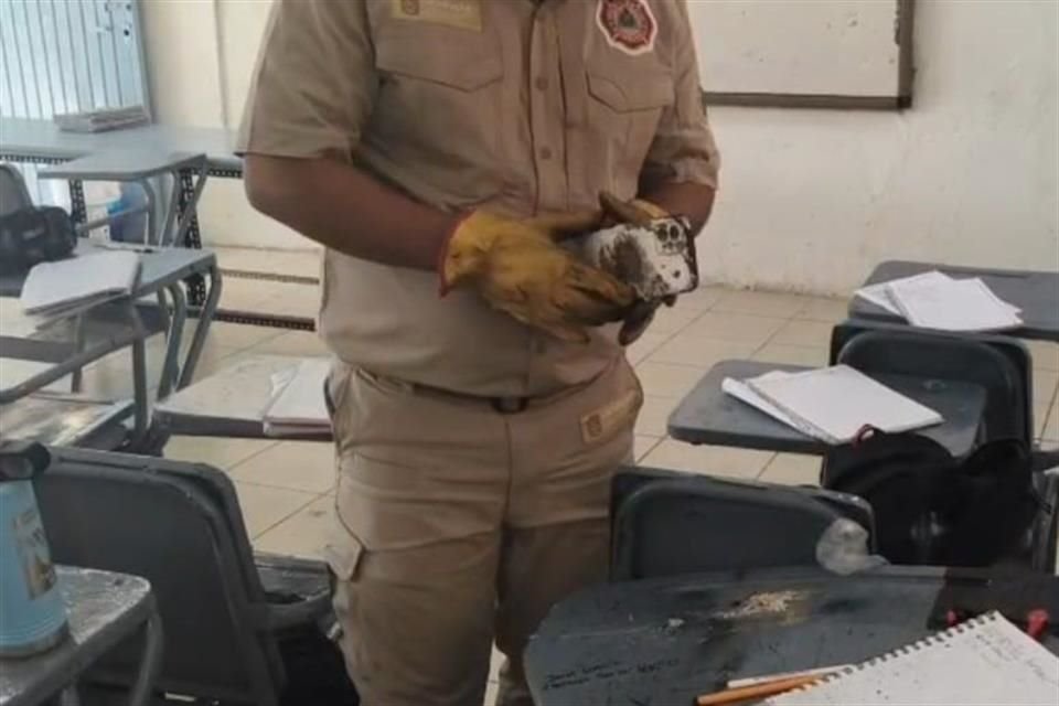 La explosión de un celular en una secundaria de Tlaquepaque provocó la evacuación de 33 estudiantes, aunque ninguno resultó lesionado.
