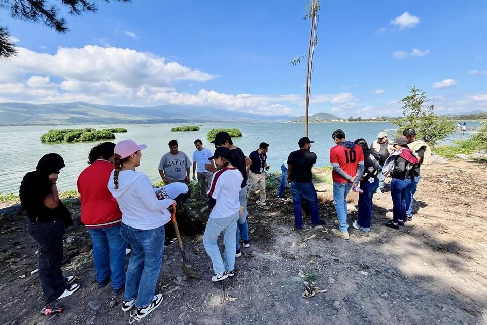 La Ribera de Cajititlán tuvo una jornada de reforestación con especies como tabachines rojos, naranjos, mandarinos y primavera.