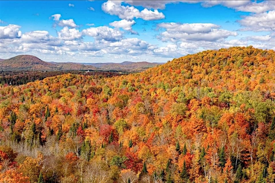 Bosque Laurentiano, Quebec.