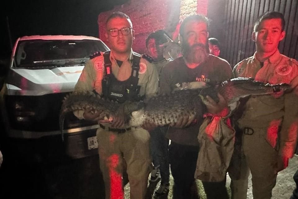 Cerca de las 21:00 horas, las autoridades habían informado que el animal había sido capturado por los rescatistas.