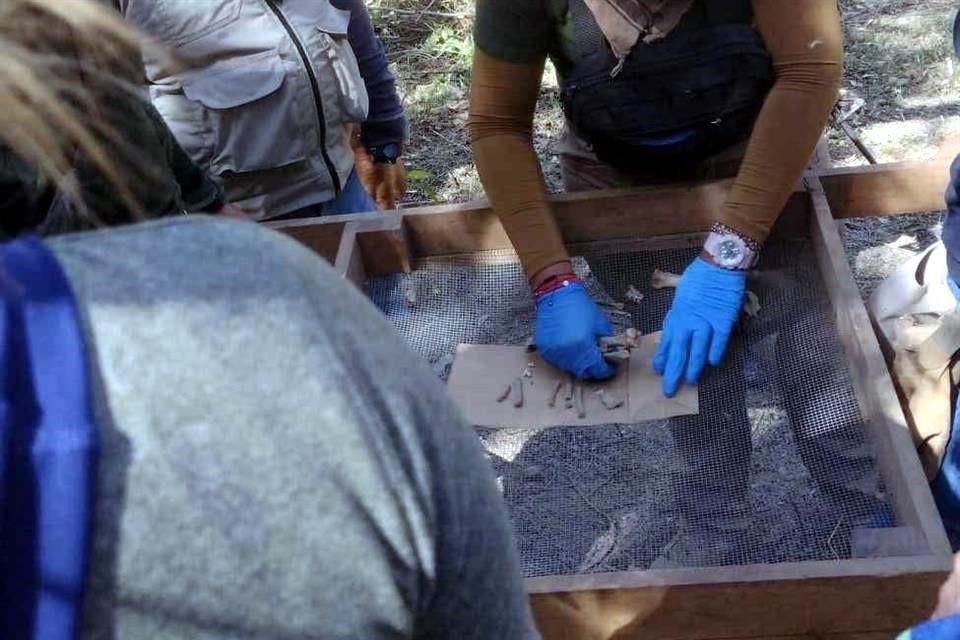 Ayelín Iczae, de 13 años, desapareció en octubre de 2020. Cuatro días después, sus restos desmembrados e incompletos fueron encontrados en una barranca a 400 metros de su domicilio.