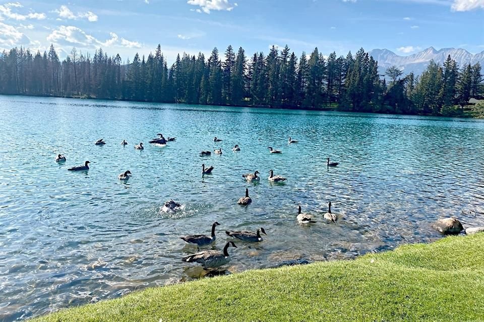 Beauvert Lake.
