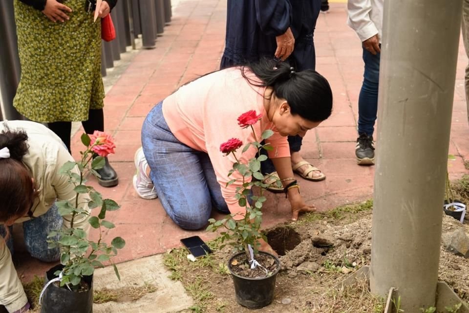 El 'Cierre de las Rosas' es un evento que, parte de su significado es dejar ir al familiar fallecido, y consiste en sembrar un rosal en las instalaciones de PALIA.