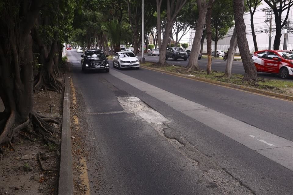 En el tramo comprendido entre Paseo de la Arboleda y la Calle Granate hay varios baches y parches en la vía.