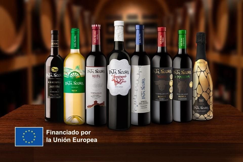 Del Duero a Jumilla: la amplia diversidad del vino español