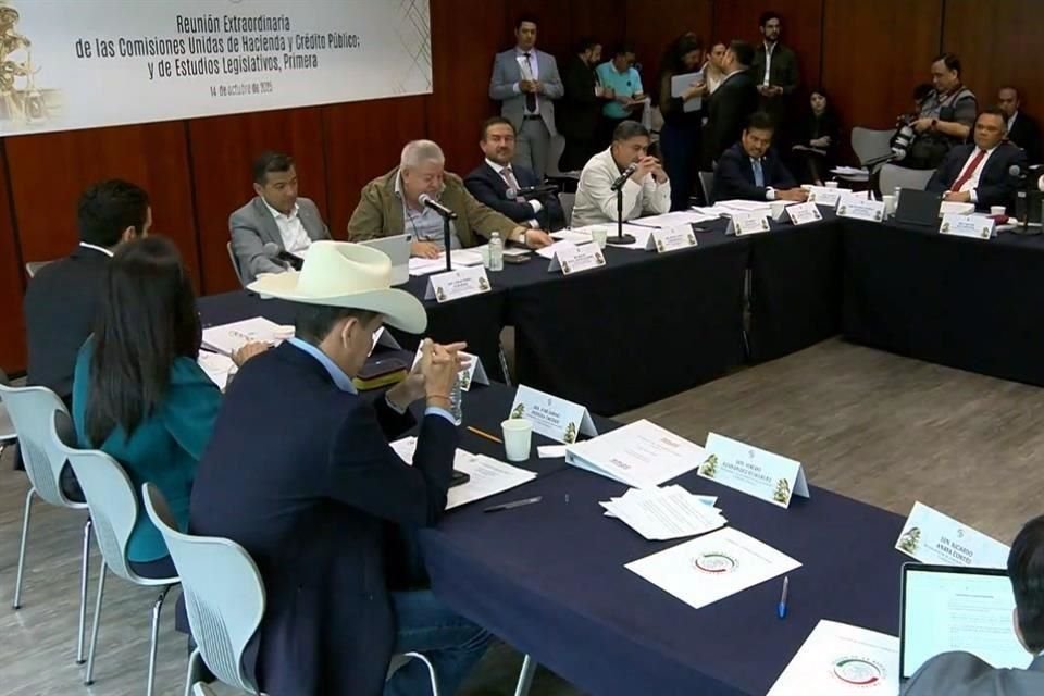 Se prevé que mañana sea votado el dictamen por el pleno de la Cámara alta.