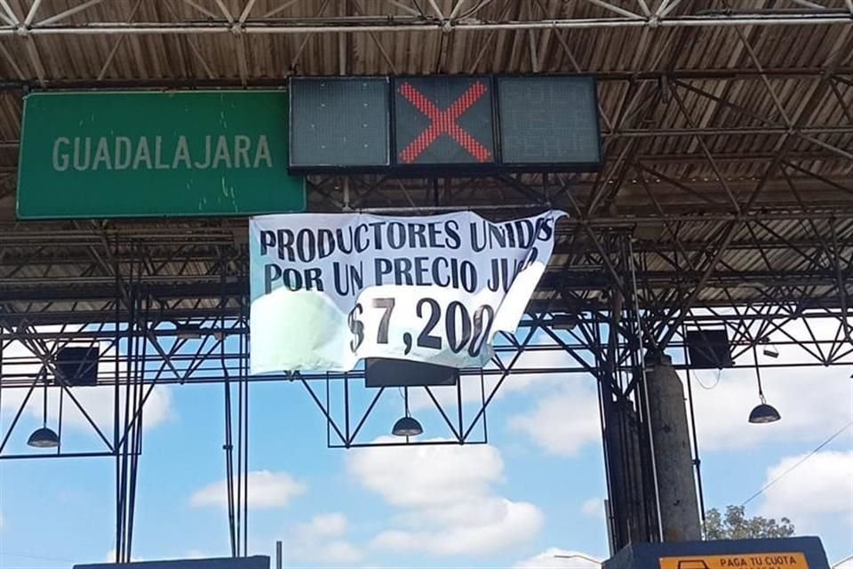 Toman productores de maíz la caseta de Ocotlán para exigir precio de garantía, 7 mil 200 pesos mínimo por tonelada.