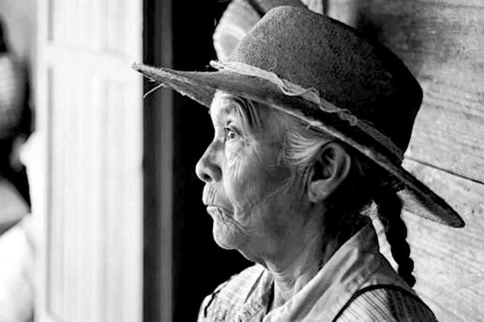 -El filme retrata la lucha de los defensores ambientales en Chiapas.