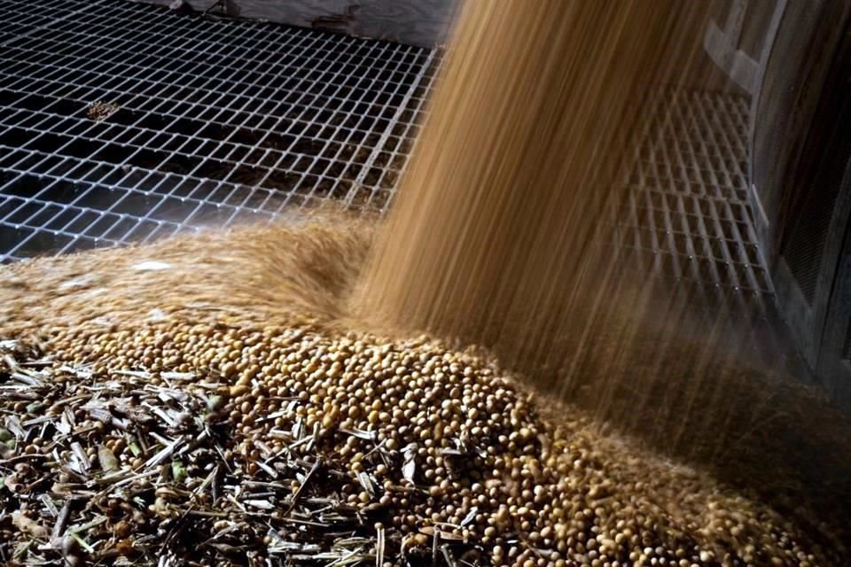 China redujo a cero las importaciones de soya procedentes de EU en septiembre.