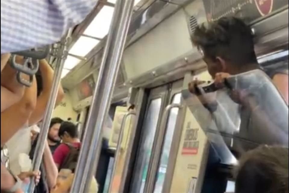 La muerte de un joven que se colgó por fuera de un vagón del tren ligero de la Línea 1 fue presenciada por decenas de pasajeros, en la estación Santa Filomena- Unidad Deportiva.