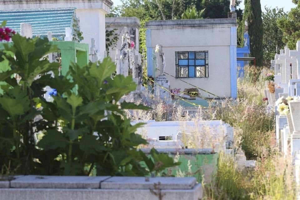 La maleza rodea decenas de tumbas en panteones de GDL.