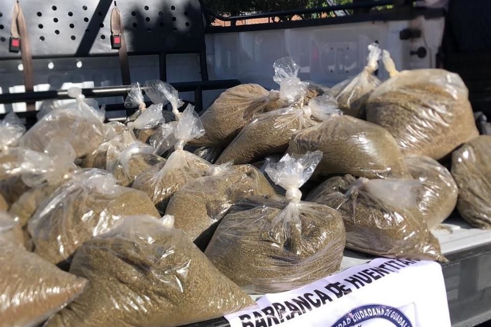 La mariguana fue asegurada y enviada a la Fiscalía General de la República.