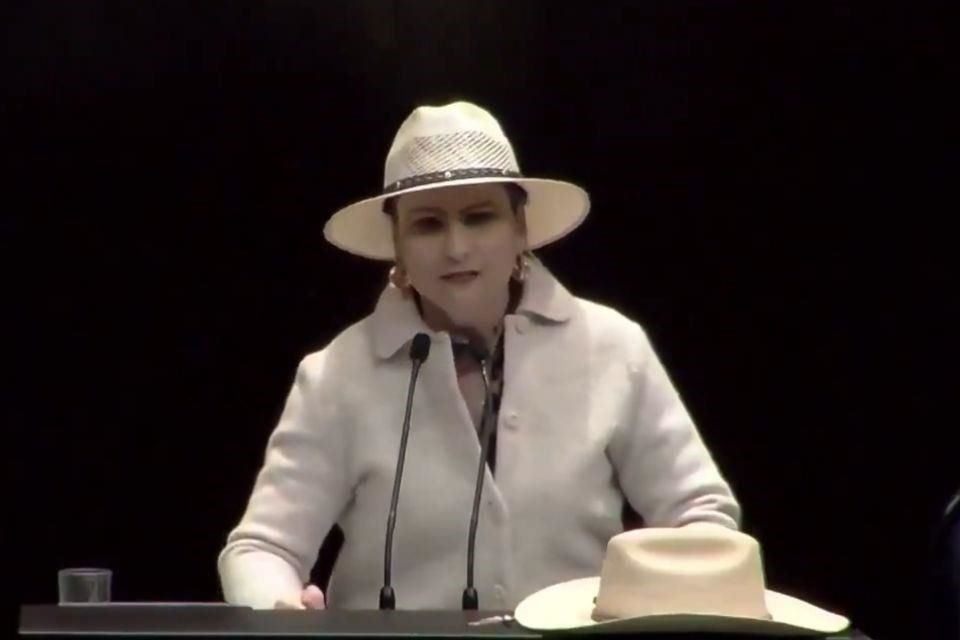 Guadalupe Mendoza,  integrante del Movimiento del Sombrero, dijo que debido a las amenazas que han recibido, se quedará en su distrito a realizar las actividades que comúnmente hace como diputada.