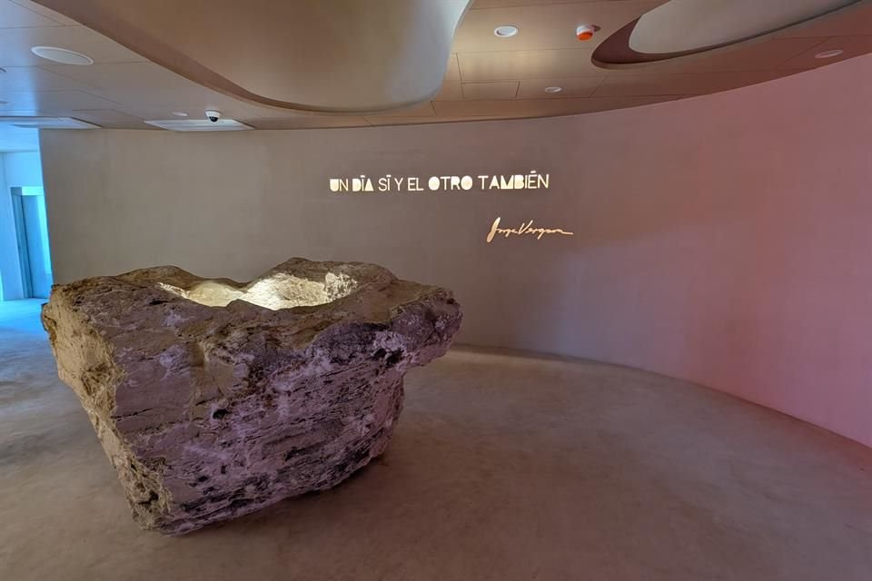 Concebido como un organismo vivo, el Jorge Vergara Museo (Jovem) se levanta entre la tierra y la luz del Estadio Akron, buscando integrar arte, innovación, naturaleza y memoria.