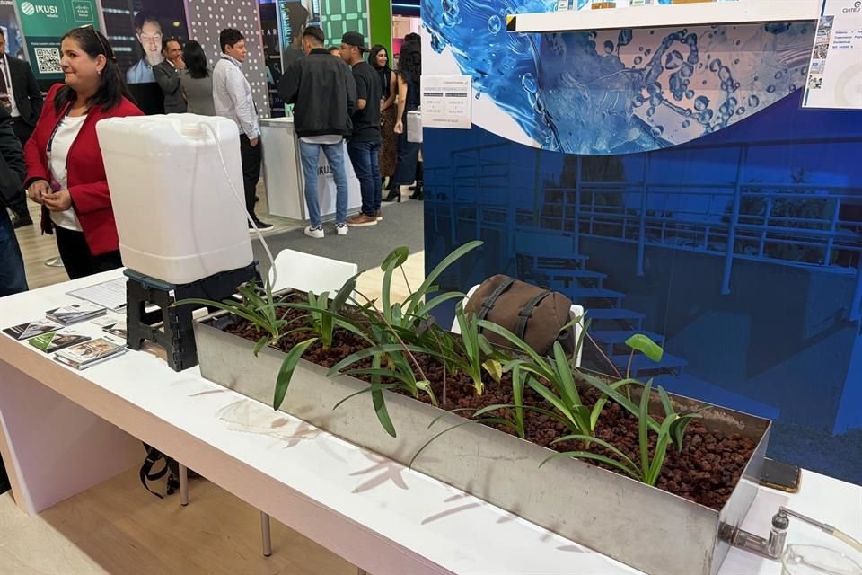 Personal del Ciatej creó un sistema de tratamiento de aguas residuales que funciona sin energía eléctrica.