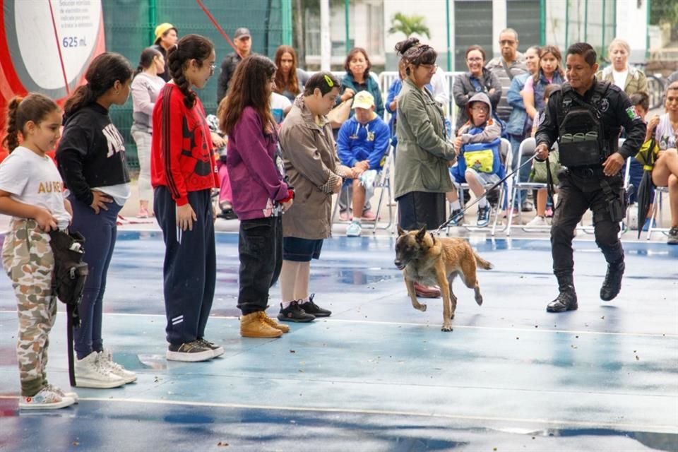 La Feria Deportiva Inclusiva en Guadalajara reunió a colectivos y asociaciones en su primera edición en Guadalajara.