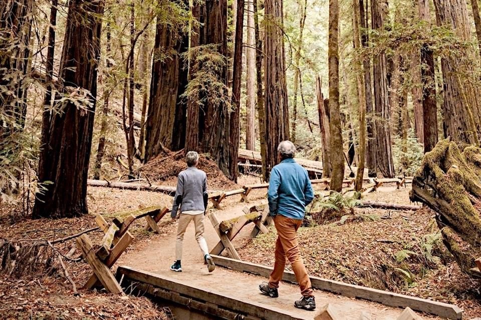 W Jack London State Park możesz wędrować po szlakach turystycznych i zwiedzić dom pisarza.