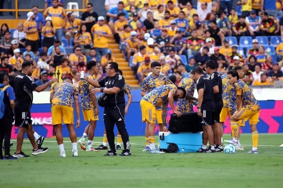 Tigres iniciará con Nico Ibáñez y Fernando Gorriarán.