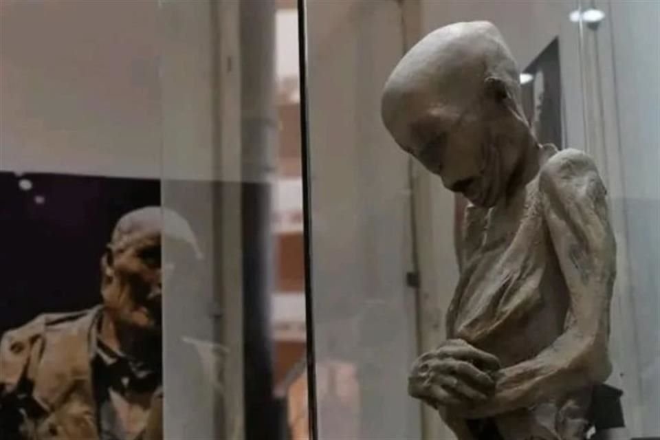 Un momia de Guanajuato fue exhibida en el festival Ciudades Mexicanas Patrimonio de la Humanidad en Zacatecas sin autorización del INAH.