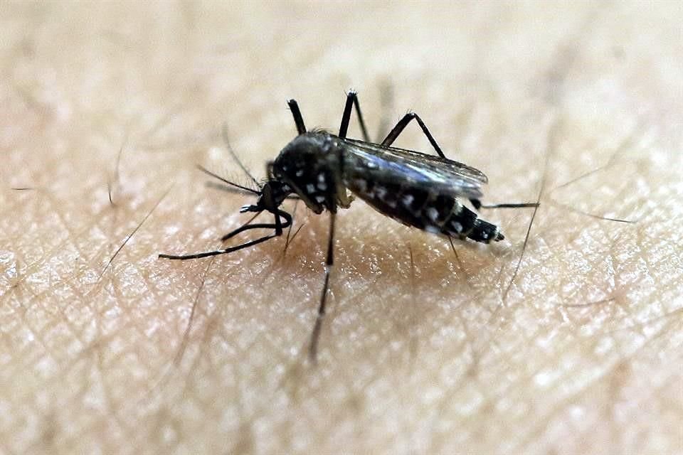 El dengue ha repuntado en Tamaulipas.