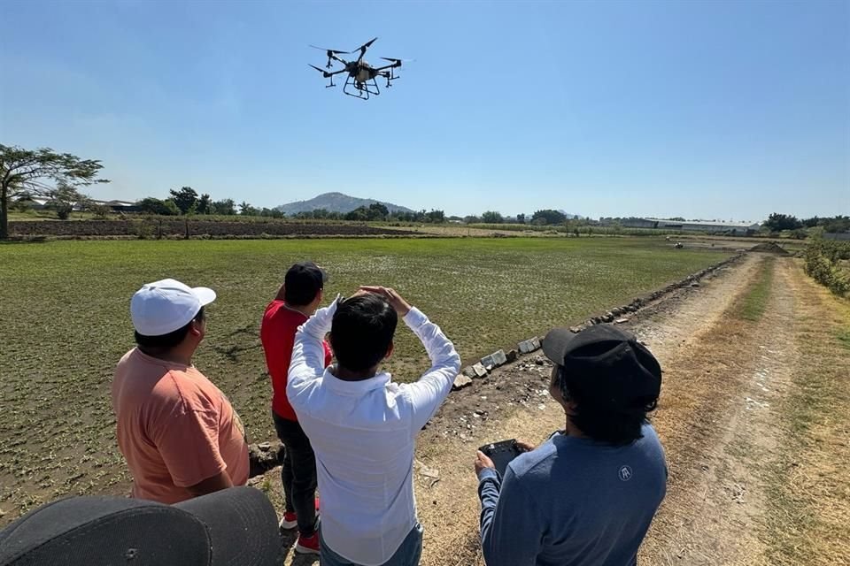 Para volar un dron del tipo profesional se requiere una especie de licencia para operar sistemas de aeronaves pilotadas a distancia (RPAS).