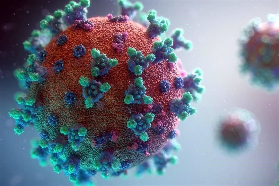 Hasta 850 mil virus que permanecen desconocidos en el mundo pueden infectar a las personas, advierten científicos internacionales.