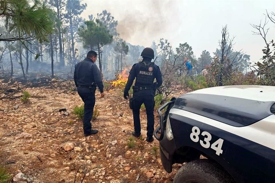 En la entidad se tienen contabilizados 11 incendios forestales.