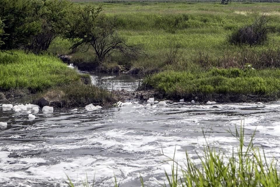 La Coordinación reprochó que solo se haya mencionado el punto de muestreo ubicado en El Salto-Juanacatlán, pues ahí se descargan mil 500 litros por segundo de aguas negras del arroyo El Ahogado.