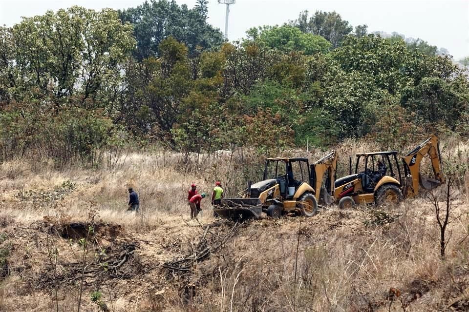 De acuerdo con el Ayuntamiento de Zapopan, se plantarn 600 rboles en el Bosque Nixticuil, tras la tala de una constructora.