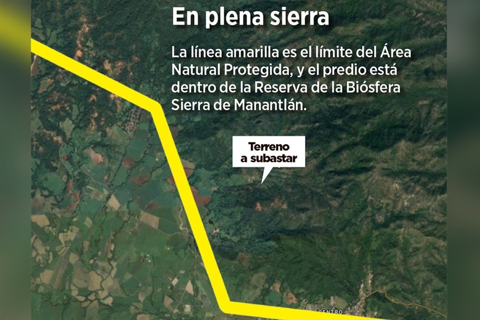 El predio de 54. 4 hectáreas ya está en licitación por el Instituto para Devolver al Pueblo lo Robado.